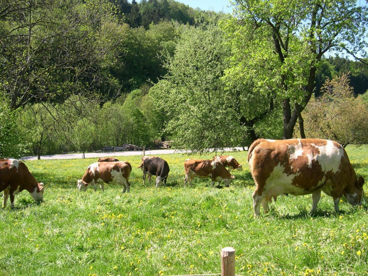 Gemuetliche Wohung Im Gruenen Michelbach Exterior foto