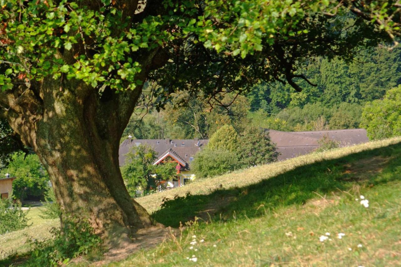 Gemuetliche Wohung Im Gruenen Michelbach Exterior foto